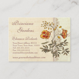 Cartão De Visita Shabby Elegance Vintage Poinciana Flowers