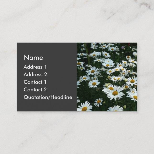 Cartão De Visita Shasta Daisies (Frente)