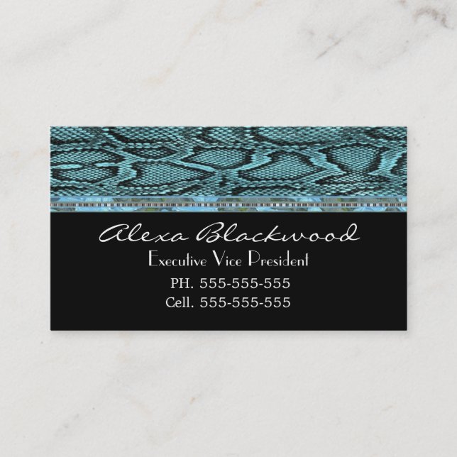 Cartão De Visita Slayter Classic Unique Professional (Frente)