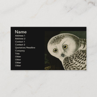 Cartão De Visita Snowy Owl - Audubon Fine Vintage Birds América