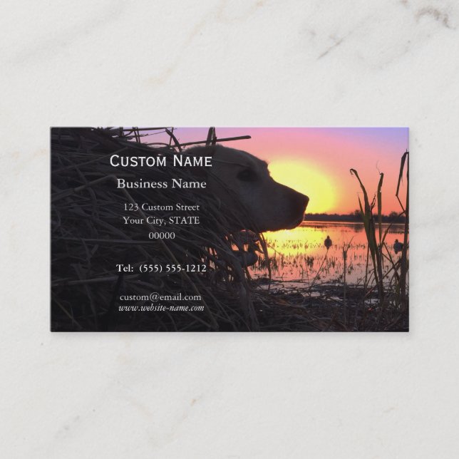 Cartão De Visita Sol no Cego do Pato (Frente)