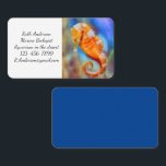 Cartão De Visita Sonda Laranja com Cavalo<br><div class="desc">Um cavalo de mar laranja brilhante com marcas brancas detalhadas é um achado encantador no Aquário Birch em Scripps em San Diego, CA. Foto de Ruth Jolly. O texto pode ser personalizado para atender às suas necessidades.</div>