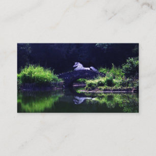 Cartão De Visita sonhos do luar