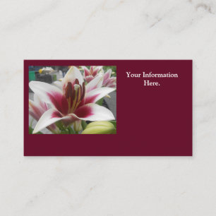 Cartão De Visita Star Gazer