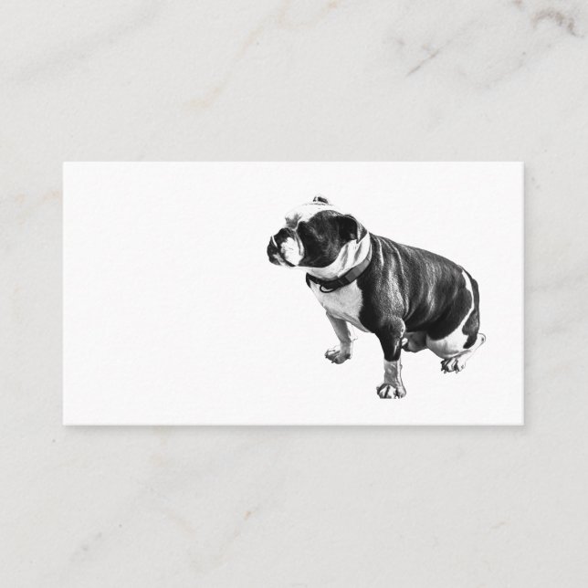 Cartão De Visita Steady Without Hurry (Frente)