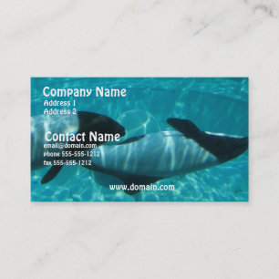 Cartão de visita subaquático da baleia