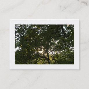 Cartão De Visita Sucursais japonesas 04 (delimitadas)