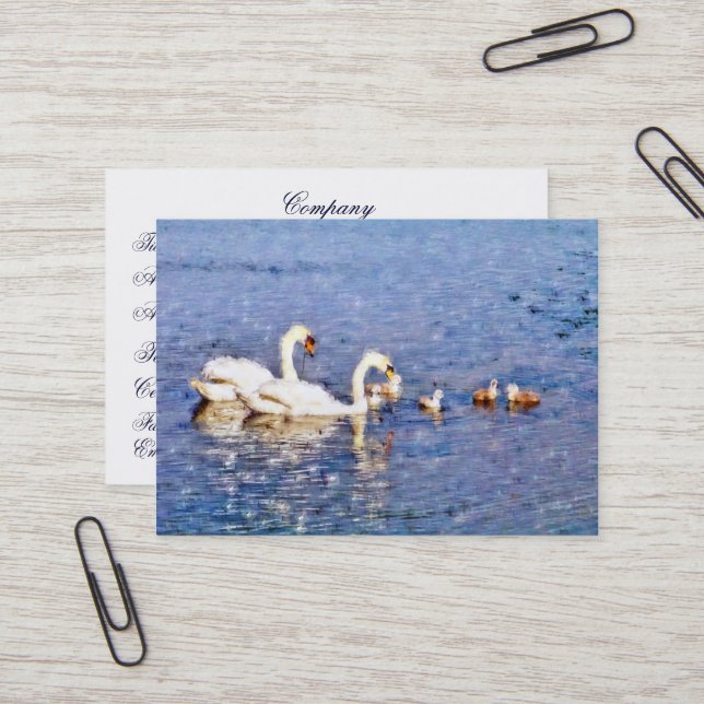 CARTÃO DE VISITA SUL (Frente/Verso In Situ)