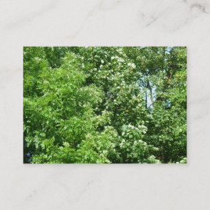 Cartão De Visita Summer Breeze