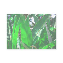 Summer Vibes Palm Tree deixa pastel verde pálido