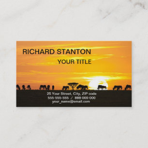 Cartão De Visita Sunset em Serengeti