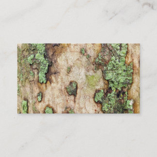 Cartão De Visita Sycamore Tree Latido Moss Lichen
