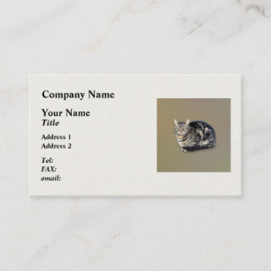Cartão De Visita Tabby Cat Sitting