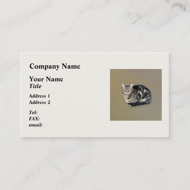 Cartão De Visita Tabby Cat Sitting (Frente)