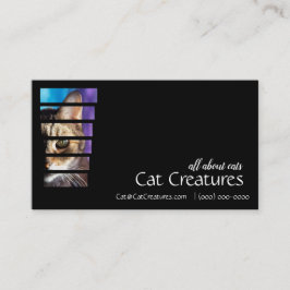 Cartão De Visita Tabby de Fotografia