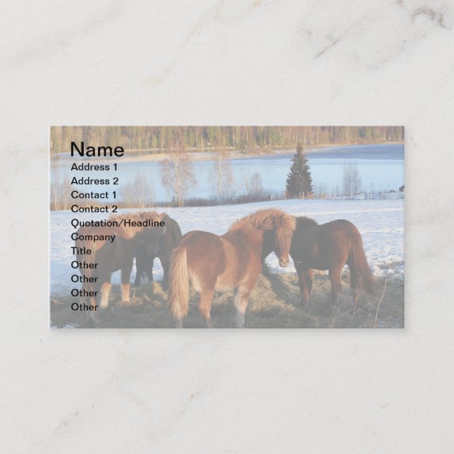 Cartão De Visita Tempo de Alimentação (Frente)