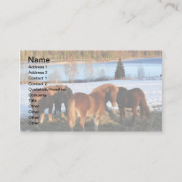 Cartão De Visita Tempo de Alimentação