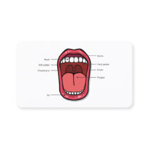 Terapêutica Personalizada de Fala QR