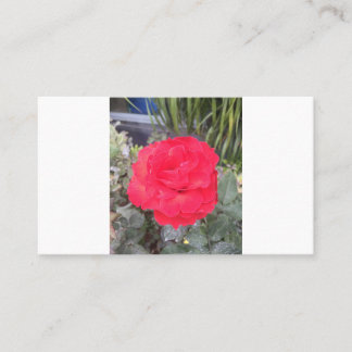 Cartão De Visita teste