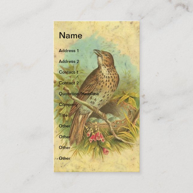Cartão De Visita Thrush Vintage (Frente)