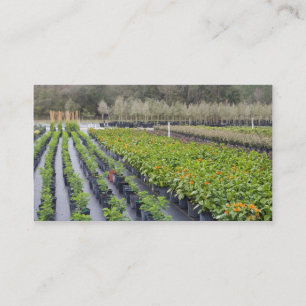 Cartão De Visita Tomar partido-Berçário Personalize-2 e jardinage