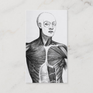 Cartão De Visita Torso da anatomia B/W do vintage (cerca de 1852)