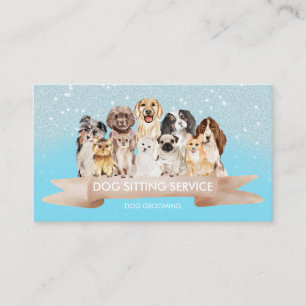 Cartão De Visita Tosa Brilhante Azul Teal Petsitter Cão