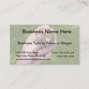 Cartão De Visita toupeira à disposição contra grass.jpg