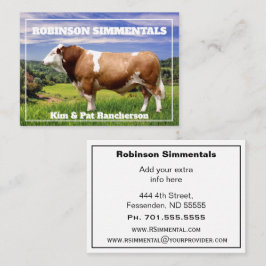 Cartão De Visita Touro Simmental em Pastura   