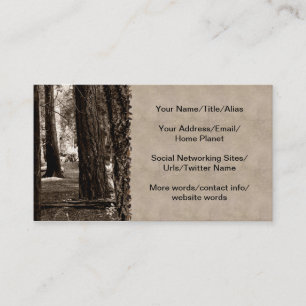 CARTÃO DE VISITA TRAJETO DA ÁRVORE