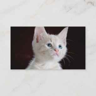 Cartão De Visita Transferência de arquivo pela rede de DIY seu