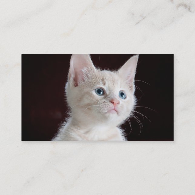 Cartão De Visita Transferência de arquivo pela rede de DIY seu (Frente)