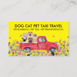 Cartão De Visita Transporte de Visita Veterinária Táxi de Pet