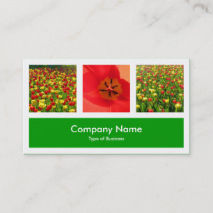 Cartão De Visita Três Fotos Mais Uma - Verde Grass