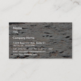 Cartão De Visita Trilhas do dinossauro