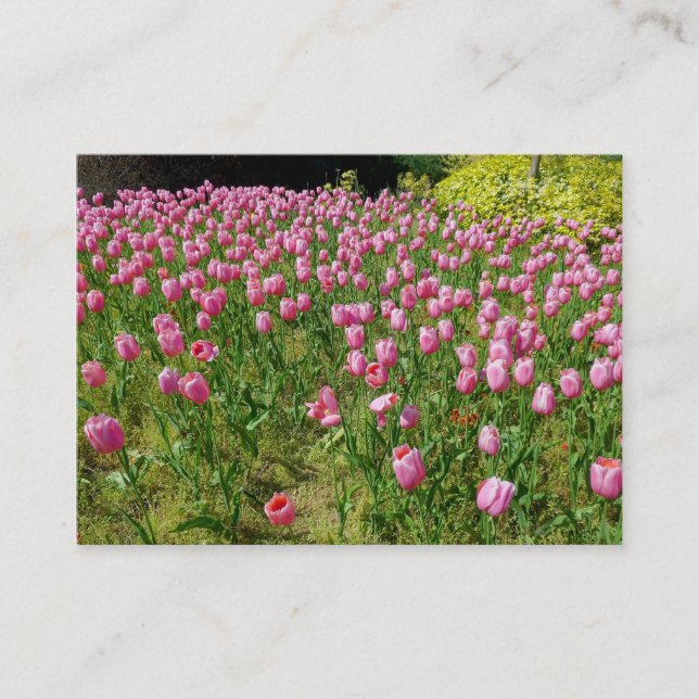 Cartão De Visita Tulipas Rosa (Frente)