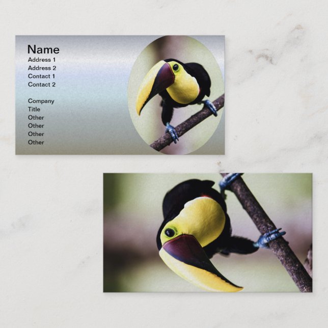 Cartão De Visita Turiano da Costa Rica (Frente/Verso)