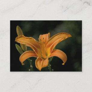 Cartão De Visita Um Mini Impressão de Delícia de Jardim