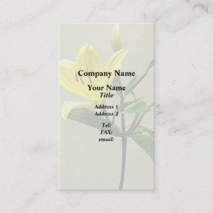 Cartão De Visita Uma Lily Amarela