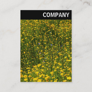 Cartão De Visita V Cabeçalho - Cama de Visitas Amarelas