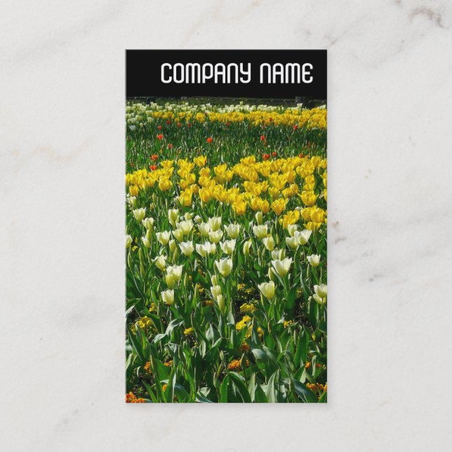 Cartão De Visita V Cabeçalho - Flores de Mola (Frente)