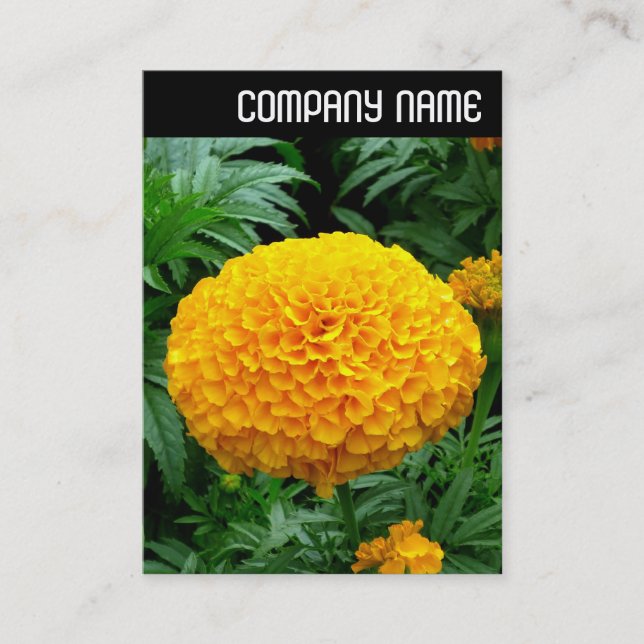 Cartão De Visita V Cabeçalho - Laranja - Chrysanthemum (Frente)
