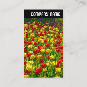 Cartão De Visita V Cabeçalho - Mar de Tulipas
