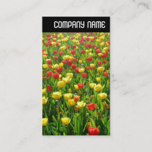 Cartão De Visita V Cabeçalho - Mar de Tulipas II