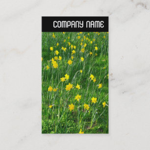 Cartão De Visita V Cabeçalho - Narcisos/Daffodils