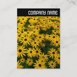 Cartão De Visita V Cabeçalho - Susanas de Olhos Negros (Rudbeckia H