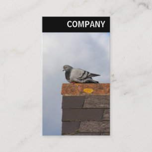 Cartão De Visita V Header - Boas Manhã Pombo