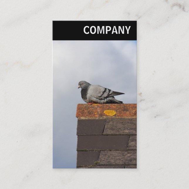 Cartão De Visita V Header - Boas Manhã Pombo (Frente)