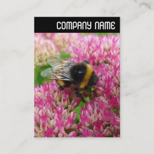 Cartão De Visita V Header - Bumble Bee no Sedum