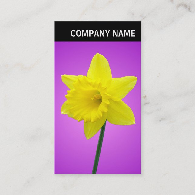 Cartão De Visita V Header - Foto - Daffodil (Frente)